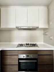 Skies Miltonia (D27), Condominium #495595391